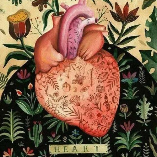 DRAGONFLY - CORAZON LATINO