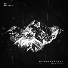 Flashingroof & H.A.N.T. - North Express (Stew & Den5 Remix) [DTL Records]
