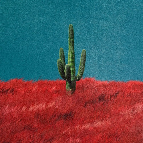 Stream Stroke My Cactus (Travi$ Scott type beat) by MTWD | Listen online  for free on SoundCloud