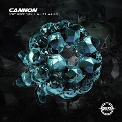 CANNON - WHY KEEP YOU (OUT NOW)