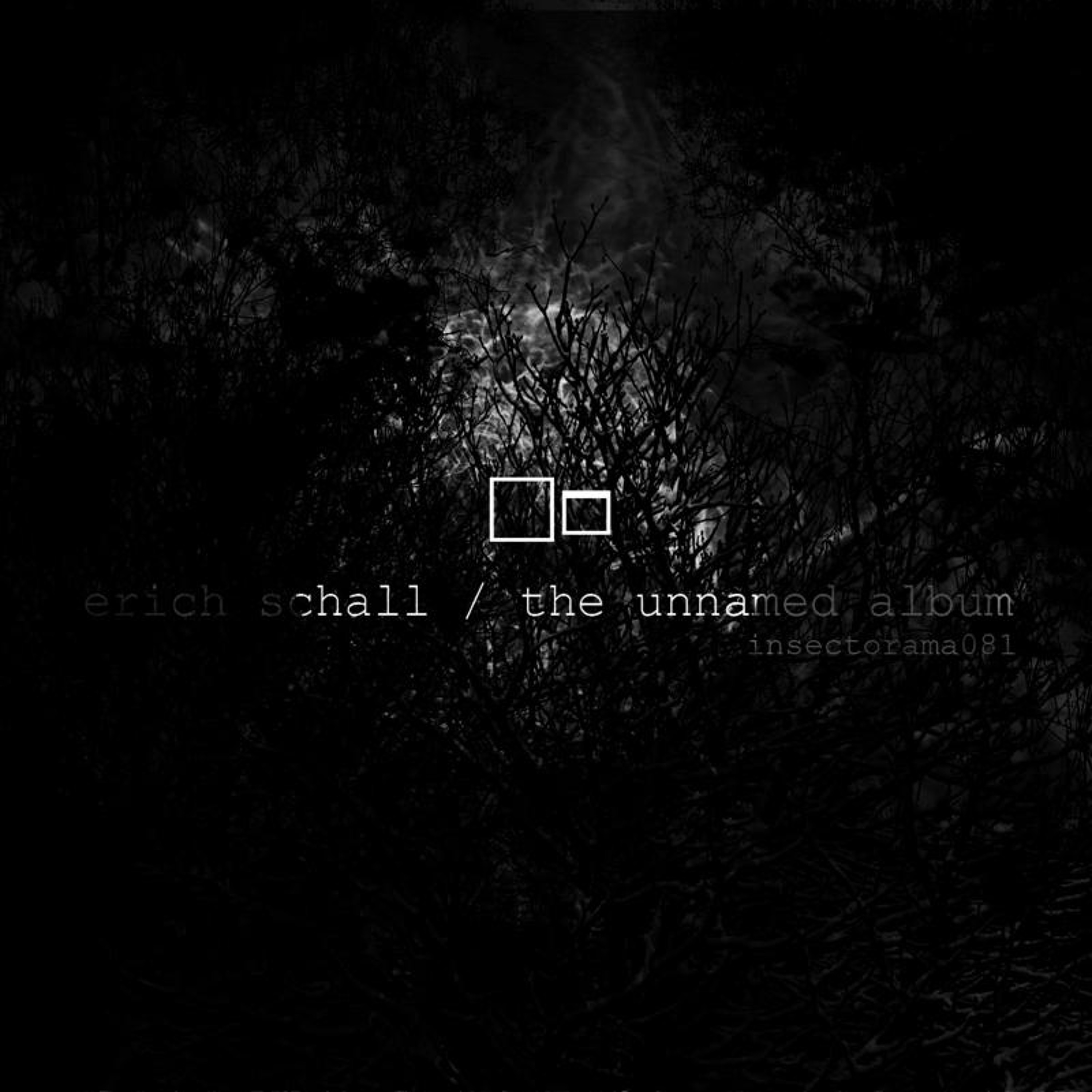 Erich Schall