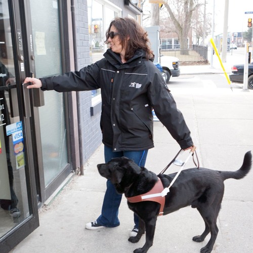 Standing Up For Your Guide Dog Rights by CNIB's Blind Wide Open Podcast