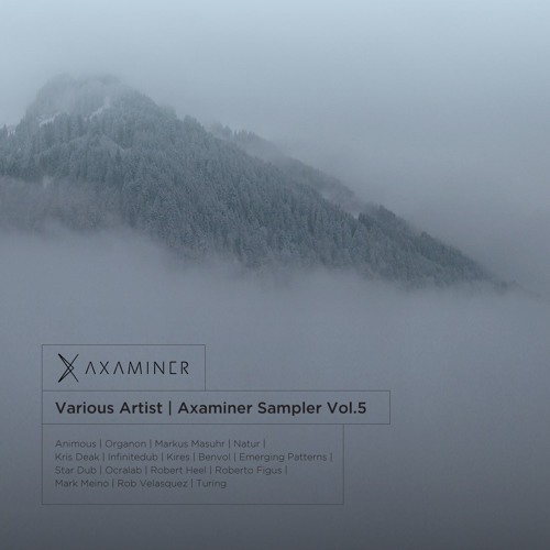 Various Artists - Axaminer Sampler vol.5