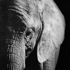 Feeling Groove - Dj Set