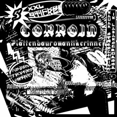 CORROID - Plattenbauromantikerinnen [Artaphine Premiere]