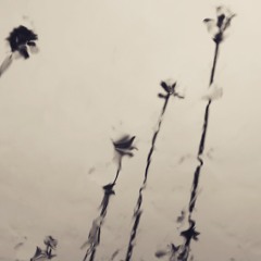 SUNRAYYS - I Can't Stand the Rain (Ann Peebles Cover)