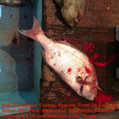 Mugwump - RAIN_FRAME CURSES REMIX - SF013R