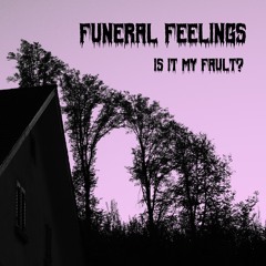 Funeral Feelings - Is It My Fault? (2019 Demo)