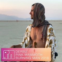 Pink Mammoth - Burning Man 2018