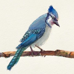 Donna Jay Fulks Animation Demo