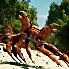PIM PAM TRUCU TRUCU (REMIX)