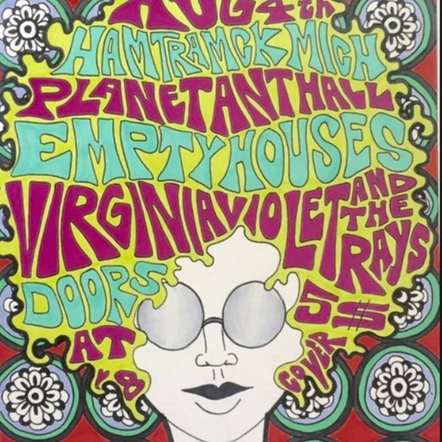 Bring The Funk - Virginia Violet & The Rays
