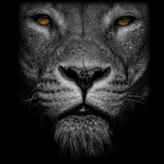 ILLClinton - Dutch (Prod. By Blake Belair)