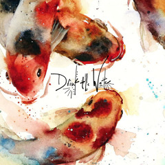 Drink The Water | Eisley