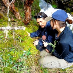 CBC Mornings, news break