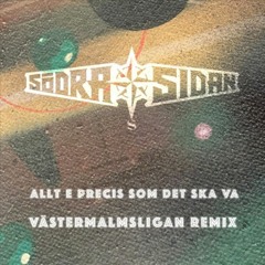 SödraSidan - Allt e precis som det ska va (Västermalmsligan remix)