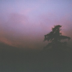 The 1975 - I Always Wanna Die [Nsolo rework]