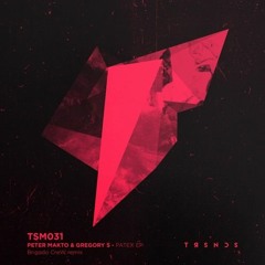 PREMIERE : Peter Makto & Gregory S - Patex (Original) [Truesounds Music]