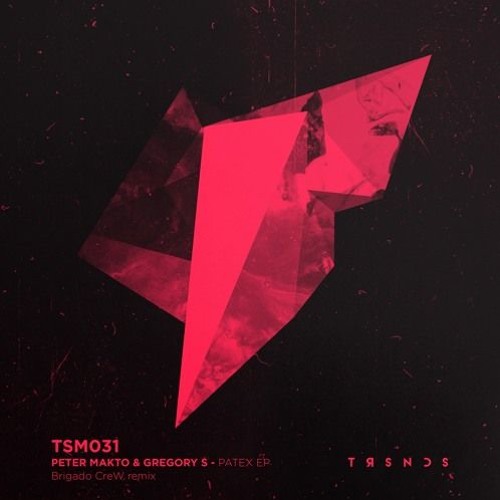 PREMIERE : Peter Makto & Gregory S - Patex (Original) [Truesounds Music]