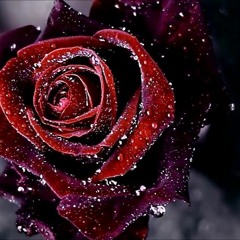 So Far Away Martin Garrix Ft.David Guetta Instrumental.Remix