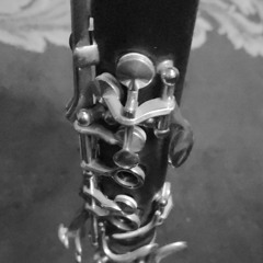 شجر الليمون clarinet cover
