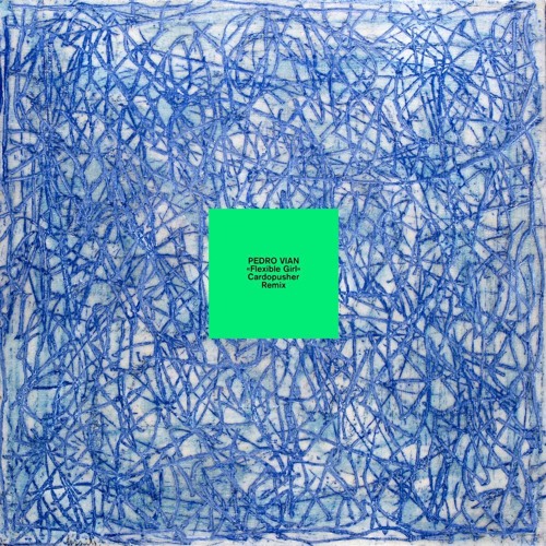 PREMIERE: Pedro Vian - Flexible Girl (Cardopusher Remix)[Modern Obscure Music]