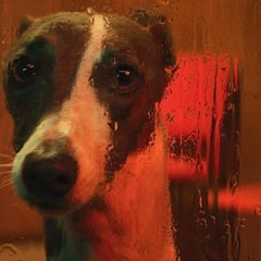 I Will Get It Tattooed