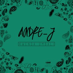 Andre J - Kwenda Umbali