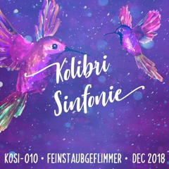 KOSI-010 • Feinstaubgeflimmer • December 2018