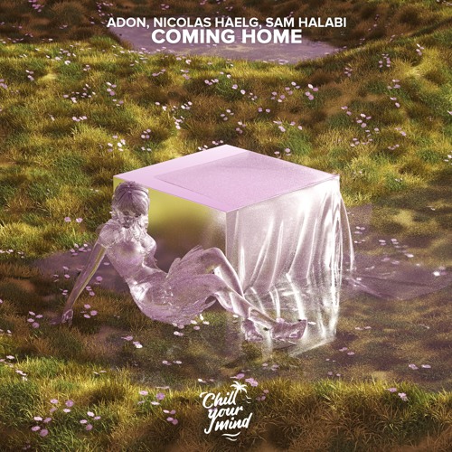 Nicolas Haelg, Sam Halabi, Adon - Coming Home