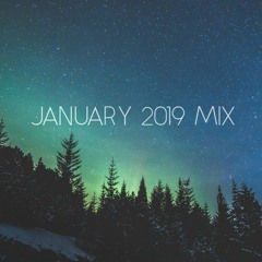 Cid Inc - January 2019 Mix