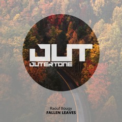 Raouf Bougy - Fallen Leaves [Outertone Free Release]