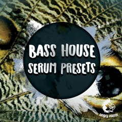 Angry Parrot Bass House Serum Presets (FREE DOWNLOAD)