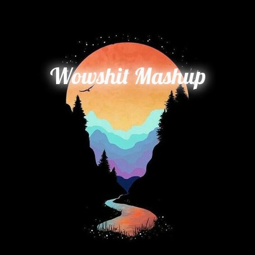 Good To Be Loved In The Universe (Wowshit Mashup)