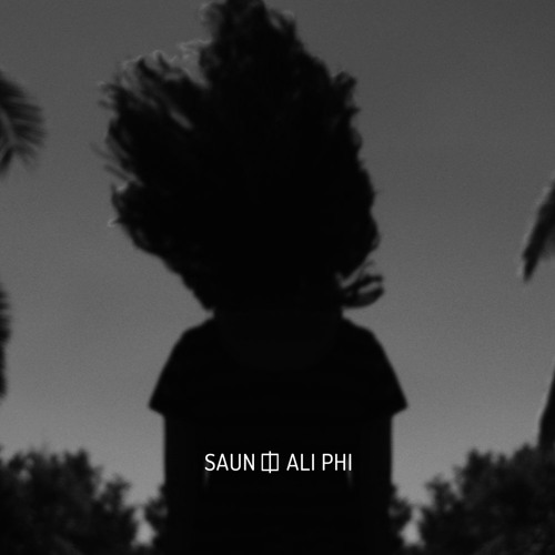 SAUN [Limited Access Edition]