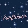 Post Malone Swae Lee Sunflower Spider Man Into The Spider Verse Acoustic Mp3