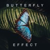 Butterfly Effect Mp3