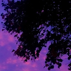 Mindz Indigo x GENES - Aura Of The Trees