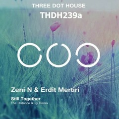 Zeni N & Erdit Mertiri - Still Together (The Distance & Igi Remix)