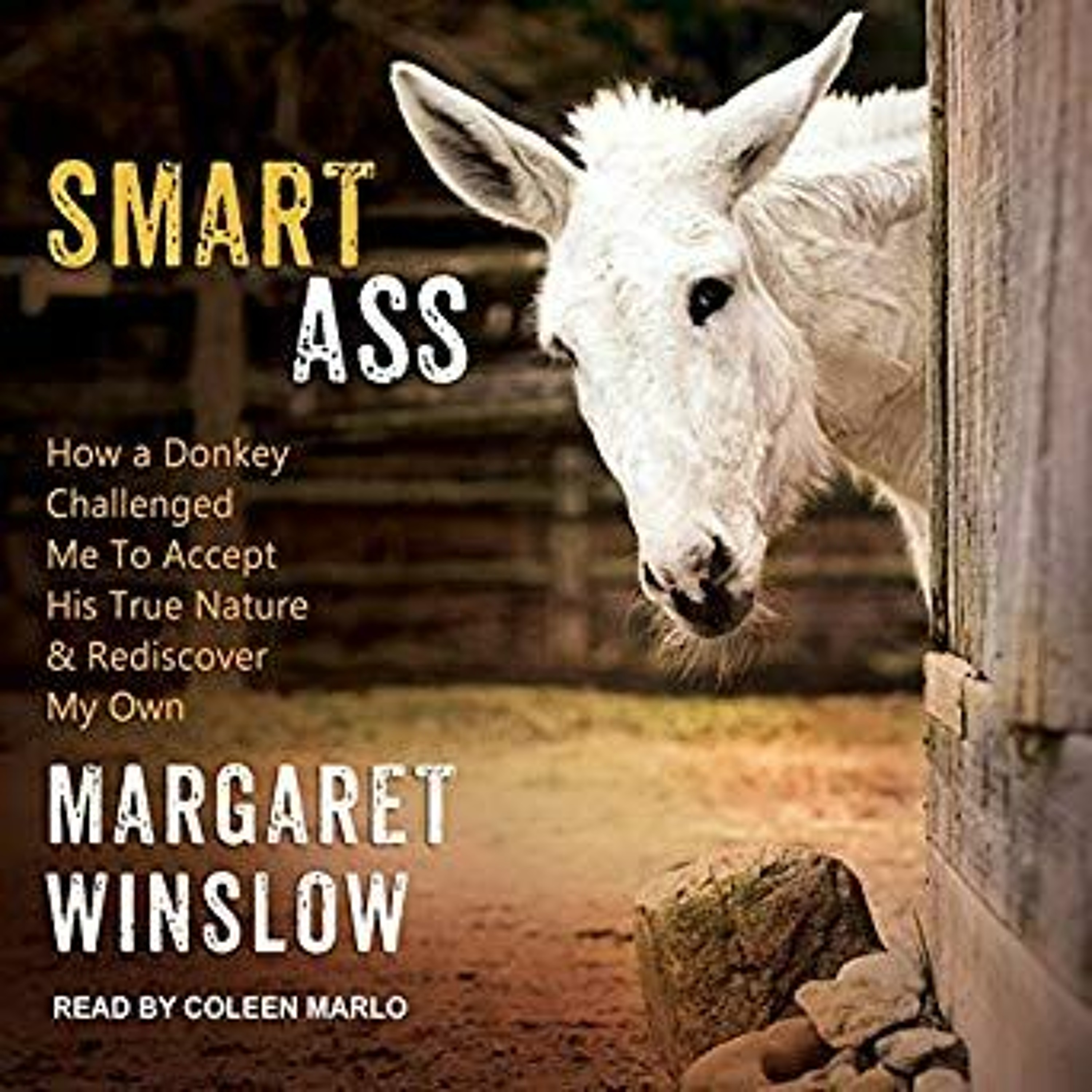 The Magical Mystery Tour Jan 18 2019 Smart Ass - An Interview W Margaret Winslow episode artwork
