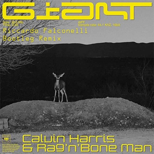 Calvin Harris & Rag'N'Bone Man - Giant (HÄWK Edit)