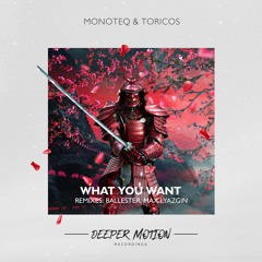 Monoteq & Toricos - What You Want (Original Mix)