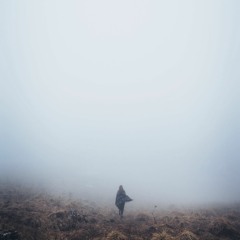 ทางของฝุ่น