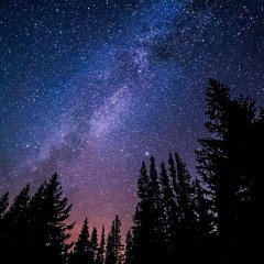 Space Callin 2019 [795x3]