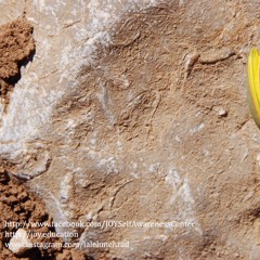 ایمان و سپردن" 18 ژانویه 2019"