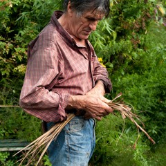 A l'encre chlorophylle