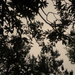 Korean Psych Mix - 60s & 70s Vintage Rock