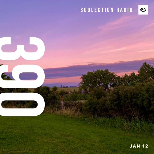 Soulection Radio #390