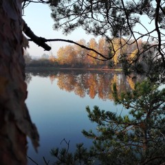 12. Climbing Up To The Tree (piano composition) - birgitjakitarr
