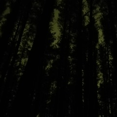 3. Light In The Deep Dark (piano composition) - birgitjakitarr